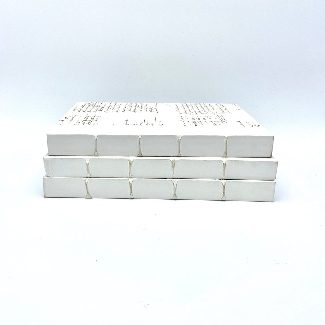 Set of Large Decorative Books in White